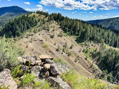 Bordering BLM land that fronts onto National Forest with direct - photo 31