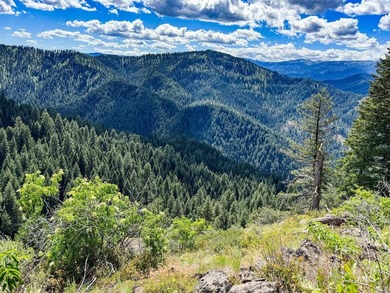 Bordering BLM land that fronts onto National Forest with direct - photo 32