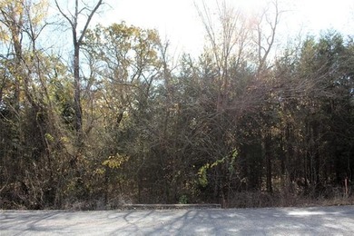 4.6 Acres Near the Red River - Build Your Dream Home or Hunting - photo 2