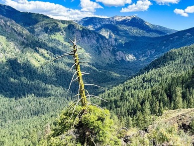 Bordering BLM land that fronts onto National Forest with direct - photo 33