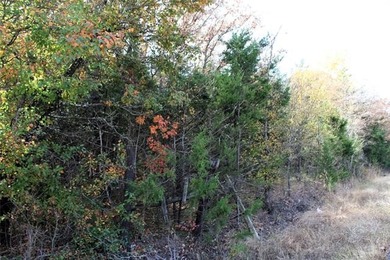 4.6 Acres Near the Red River - Build Your Dream Home or Hunting - photo 4