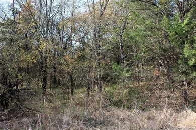 4.6 Acres Near the Red River - Build Your Dream Home or Hunting - photo 5