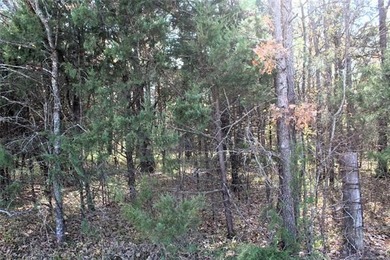 4.6 Acres Near the Red River - Build Your Dream Home or Hunting - photo 7