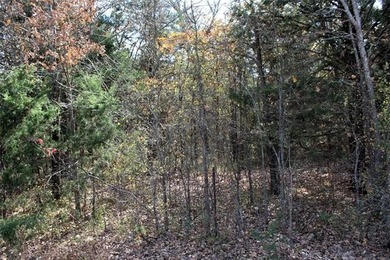 4.6 Acres Near the Red River - Build Your Dream Home or Hunting - photo 8