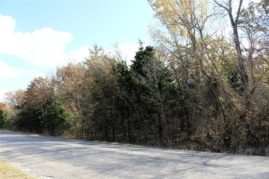 4.6 Acres Near the Red River - Build Your Dream Home or Hunting - photo 9