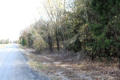 4.6 Acres Near the Red River - Build Your Dream Home or Hunting - photo 10