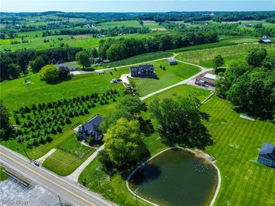 Welcome to a rare opportunity in the Tuslaw School District! - photo 48