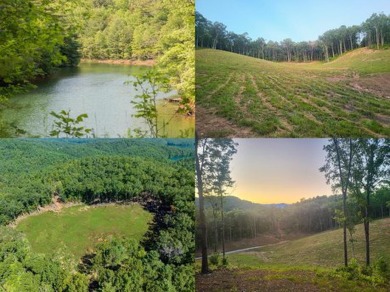 Lake Lot For Sale in Robbinsville, North Carolina