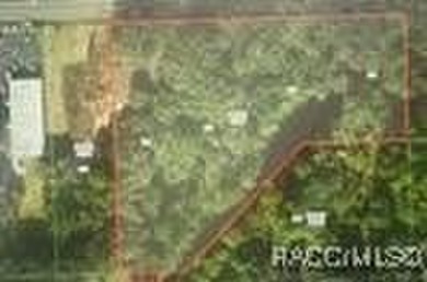 (private lake, pond, creek) Acreage For Sale in Dunnellon Florida