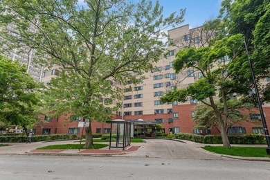 Lake Michigan - Cook County Condo For Sale in Chicago Illinois