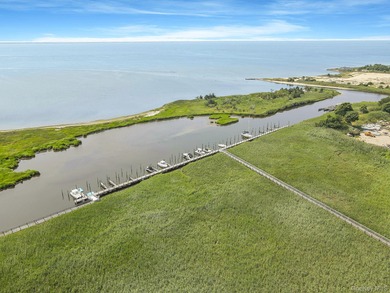 Welcome to Luxury Resort style living in this Amazing Waterfront - photo 6