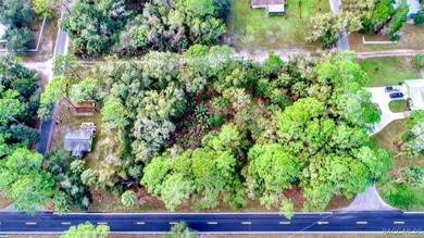 Withlacoochee River Lot For Sale in Yankeetown Florida