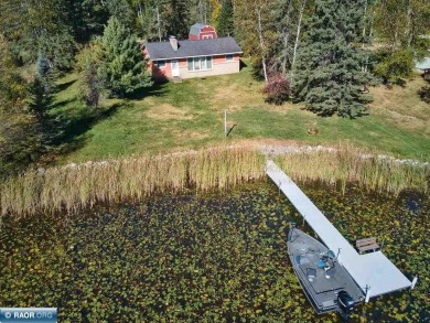 Lake Home For Sale in Marcell, Minnesota