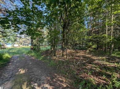 100' of frontage along the beautiful sandy shores of Lake Huron! - photo 4