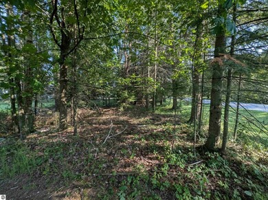 100' of frontage along the beautiful sandy shores of Lake Huron! - photo 5