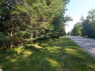 100' of frontage along the beautiful sandy shores of Lake Huron! - photo 6