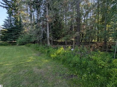 100' of frontage along the beautiful sandy shores of Lake Huron! - photo 7