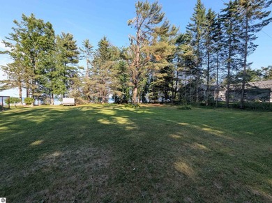 100' of frontage along the beautiful sandy shores of Lake Huron! - photo 8