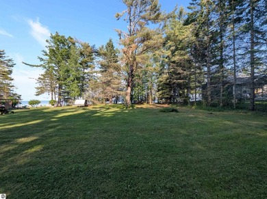 100' of frontage along the beautiful sandy shores of Lake Huron! - photo 9