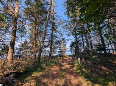 100' of frontage along the beautiful sandy shores of Lake Huron! - photo 10