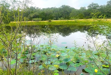 (private lake, pond, creek) Acreage For Sale in Hallettsville Texas