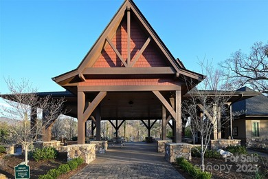 Experience Asheville Living at it's Finest in the highly - photo 2