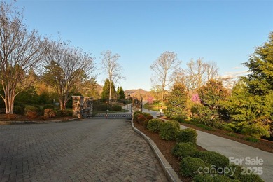 Experience Asheville Living at it's Finest in the highly - photo 4