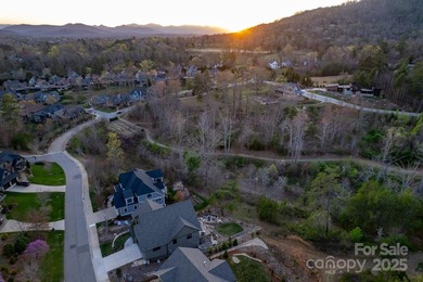 Experience Asheville Living at it's Finest in the highly - photo 5