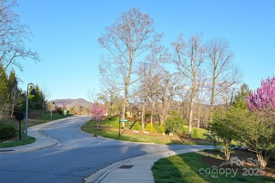 Experience Asheville Living at it's Finest in the highly - photo 6