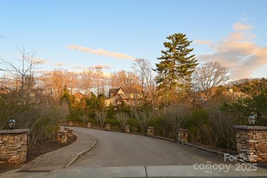 Experience Asheville Living at it's Finest in the highly - photo 7