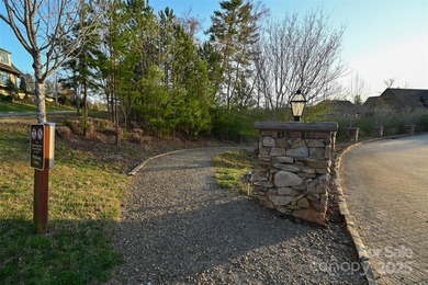 Experience Asheville Living at it's Finest in the highly - photo 8