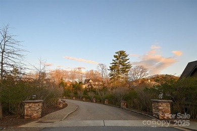Experience Asheville Living at it's Finest in the highly - photo 9