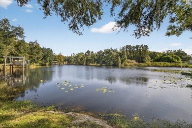 Lake Padgett Lot For Sale in Land O Lakes Florida