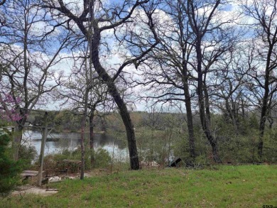 Lake Lot Off Market in Mineola, Texas