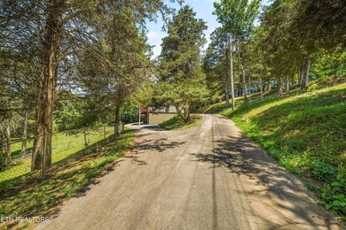 Welcome to this inviting basement ranch home nestled on a - photo 31