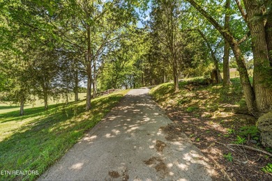 Welcome to this inviting basement ranch home nestled on a - photo 32