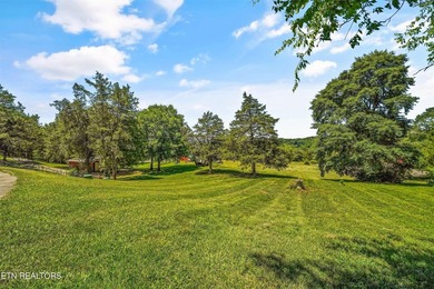 Welcome to this inviting basement ranch home nestled on a - photo 34