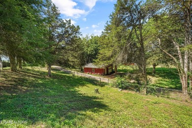 Welcome to this inviting basement ranch home nestled on a - photo 35