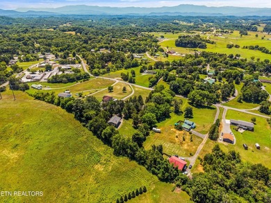 Welcome to this inviting basement ranch home nestled on a - photo 38