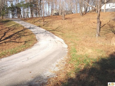 Runaway Dr lot: 16R & 17R - photo 3