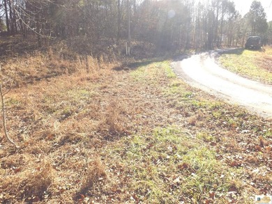 Runaway Dr lot: 16R & 17R - photo 4