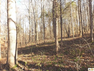 Runaway Dr lot: 16R & 17R - photo 5