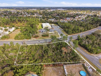 Sidney Lake  Commercial For Sale in Deltona Florida