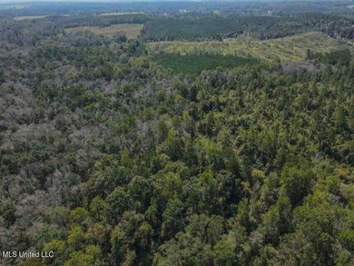Are you looking for hunting land, or a nice mature track of - photo 11
