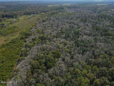 Are you looking for hunting land, or a nice mature track of - photo 12