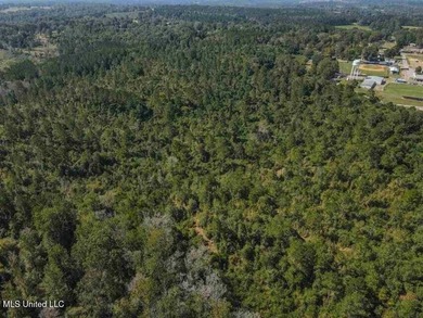 Are you looking for hunting land, or a nice mature track of - photo 13