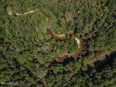 Are you looking for hunting land, or a nice mature track of - photo 15