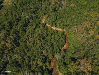 Are you looking for hunting land, or a nice mature track of - photo 16