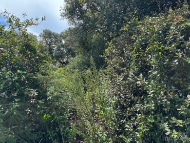 Lake Lot For Sale in Inverness, Florida