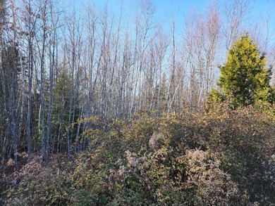 Welcome to the subdivision at Sandy Ridge. Situated in the - photo 2
